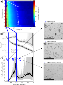 Figure 2 - Mesures du SCAF pour une suspension de sédiment de la rivière Ells. (a) Mesures d’absorbance du SCAF, (b) distribution de vitesses de chute et (c) indice de floculation. À partir de leur vitesse de chute et de leur indice de floculation, trois types de particules peuvent être différenciées au sein de l'échantillon : A) des particules sableuses et limoneuses qui chutent rapidement et ne floculent pas, B) des flocs organiques et C) des petits flocs ou agrégats argileux. Des vues au microscope optique des particules A), B) et C) sont présentées en e), f), et g).